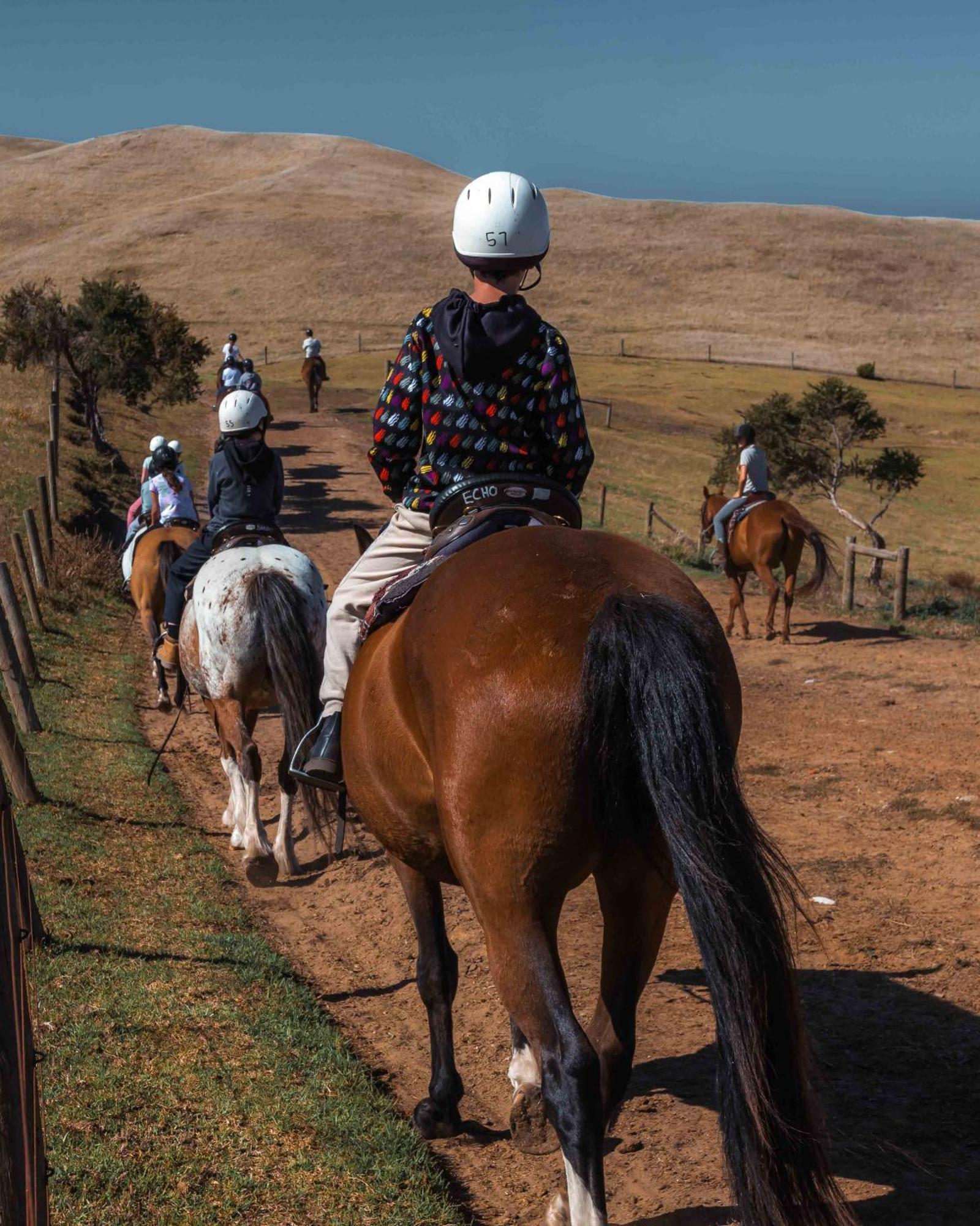 Willa The Ranch Mornington Peninsula Boneo Zewnętrze zdjęcie